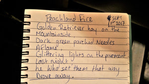 Peachland Fire