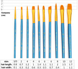 BGLN Paint Brushes | 10 pcs | Round & Pointed Tips