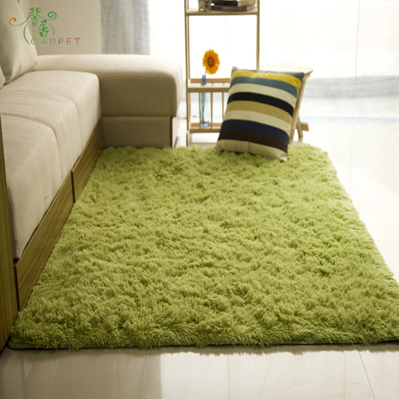 Soft Plush Rug of Many Colours
