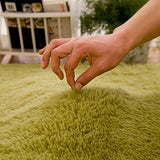 Soft Plush Rug of Many Colours
