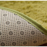 Soft Plush Rug of Many Colours
