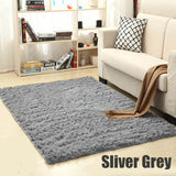 Soft Plush Rug of Many Colours