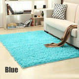 Soft Plush Rug of Many Colours
