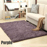 Soft Plush Rug of Many Colours