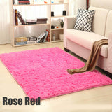 Soft Plush Rug of Many Colours