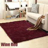 Soft Plush Rug of Many Colours