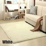Soft Plush Rug of Many Colours
