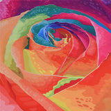 Optical Illusion Tapestry | Rose Pattern Shawl